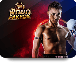 Join the Fun and Action at SBOTOP Casino Live Platforms